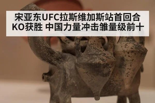 宋亚东UFC拉斯维加斯站首回合KO获胜 中国力量冲击雏量级前十